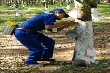 Sẽ có quy trình riêng cho vườn cây Mang Yang